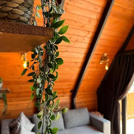 Sapanca360bungalows Sakarya (Marmara)