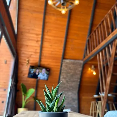 Sapanca360bungalows Sakarya (Marmara)